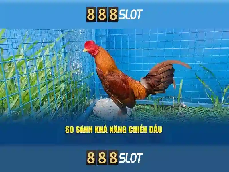 16 năm hành trình tuân thủ thương hiệu